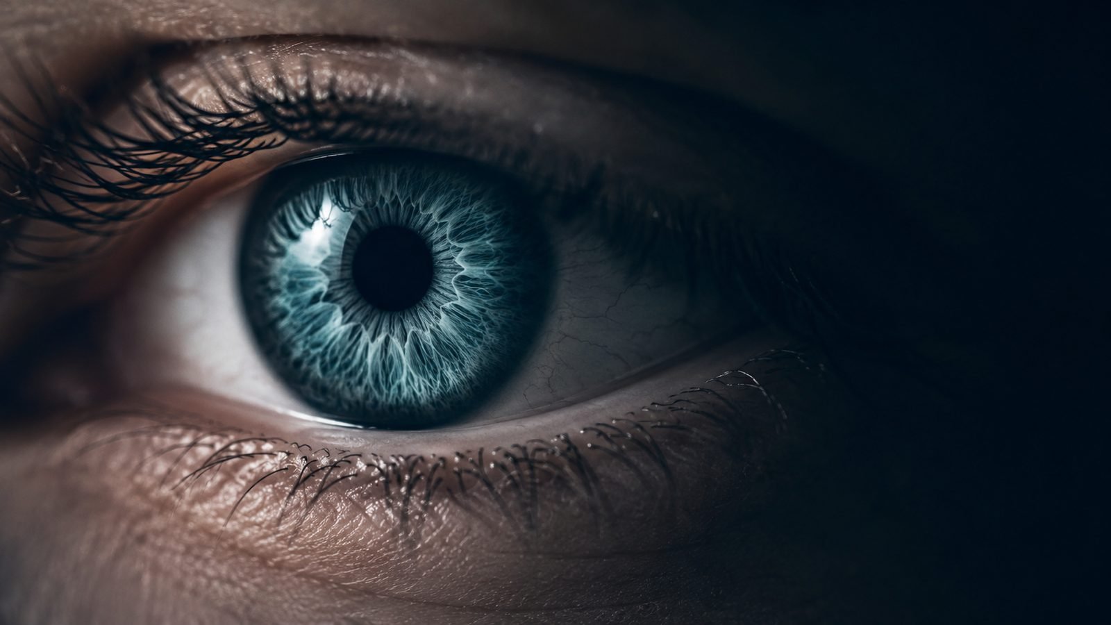 Terapia visual en disfunciones acomodativas: qué dice la evidencia